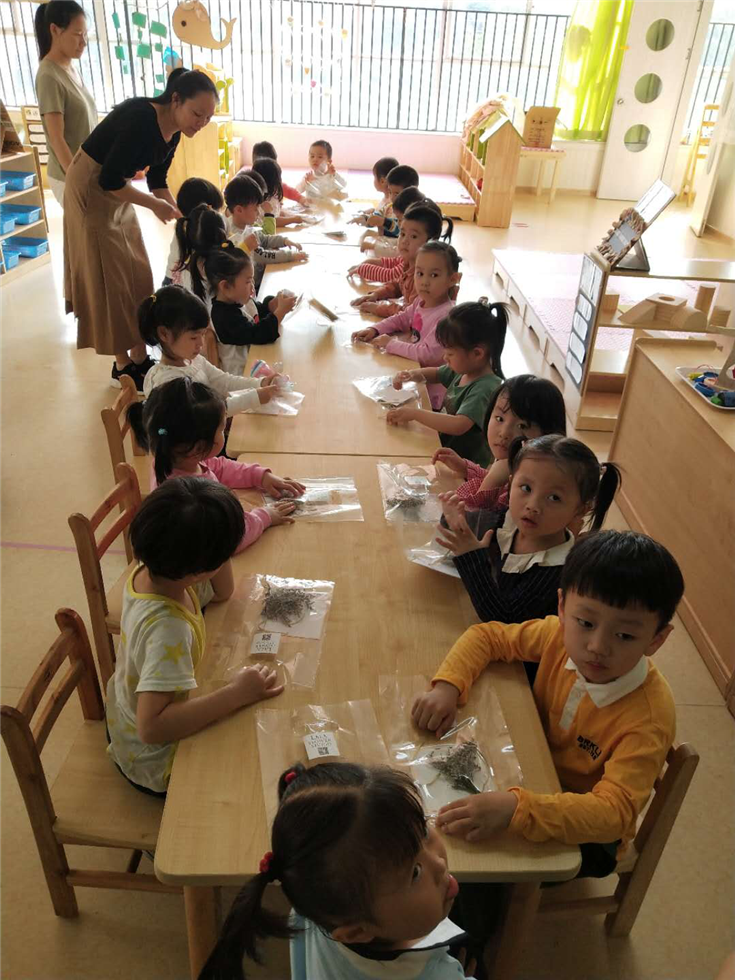 图片6.png